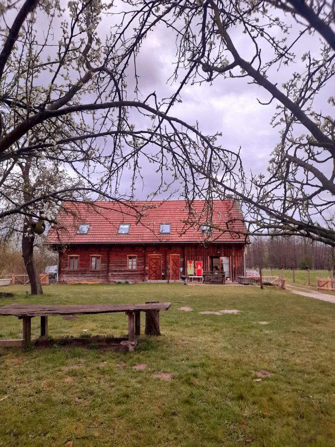 Apartmán Liljas Haus Im Spreewald Burg  Exteriér fotografie